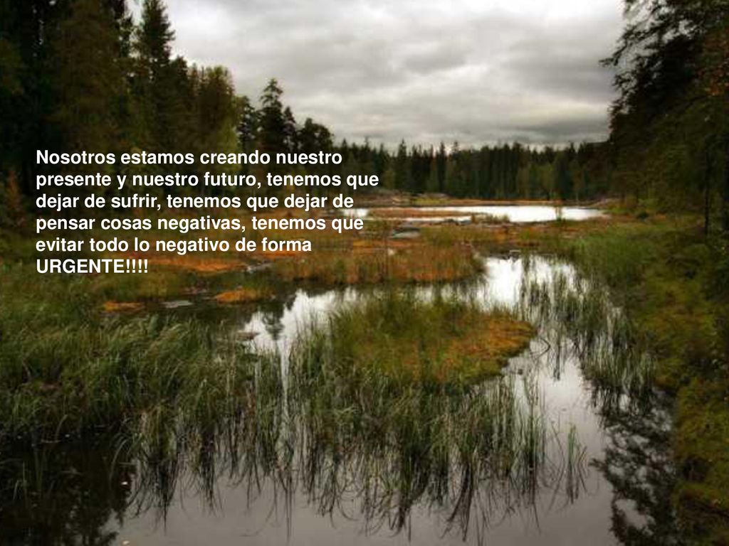 Nosotros estamos creando nuestro presente y nuestro futuro, tenemos que dejar de sufrir, tenemos que dejar de pensar cosas negativas, tenemos que evitar todo lo negativo de forma URGENTE!!!!