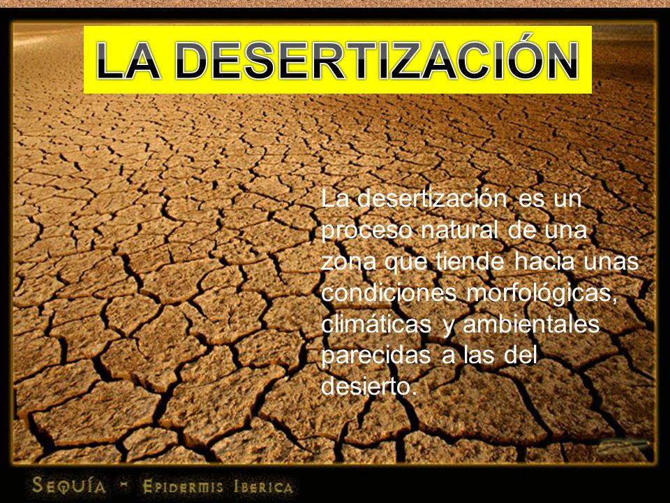 LA DESERTIZACIÓN La desertización es un proceso natural de una zona que tiende hacia unas condiciones morfológicas,