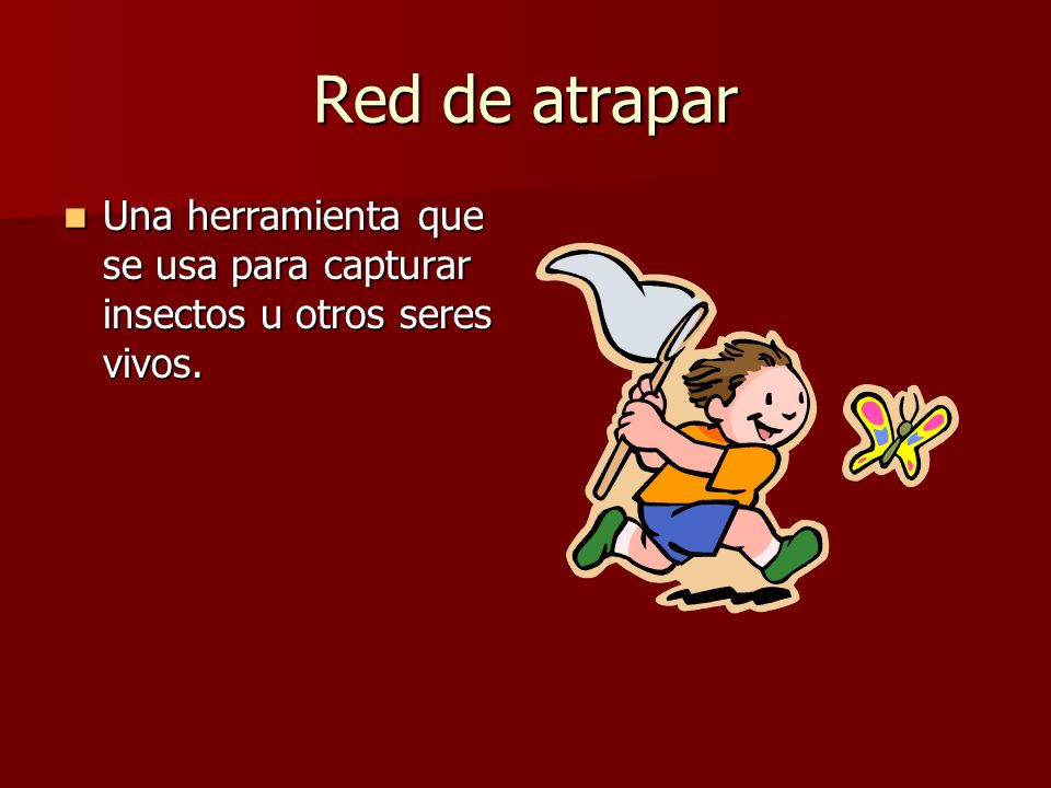 Red de atrapar Una herramienta que se usa para capturar insectos u otros seres vivos.