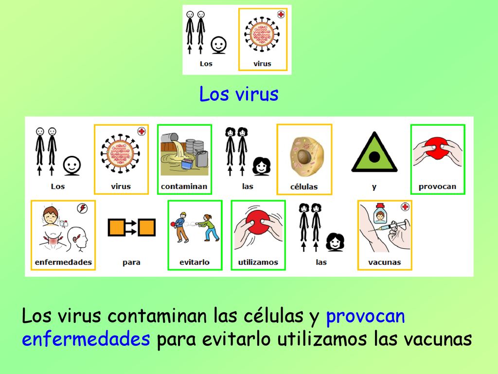 Los virus Los virus contaminan las células y provocan enfermedades para evitarlo utilizamos las vacunas.