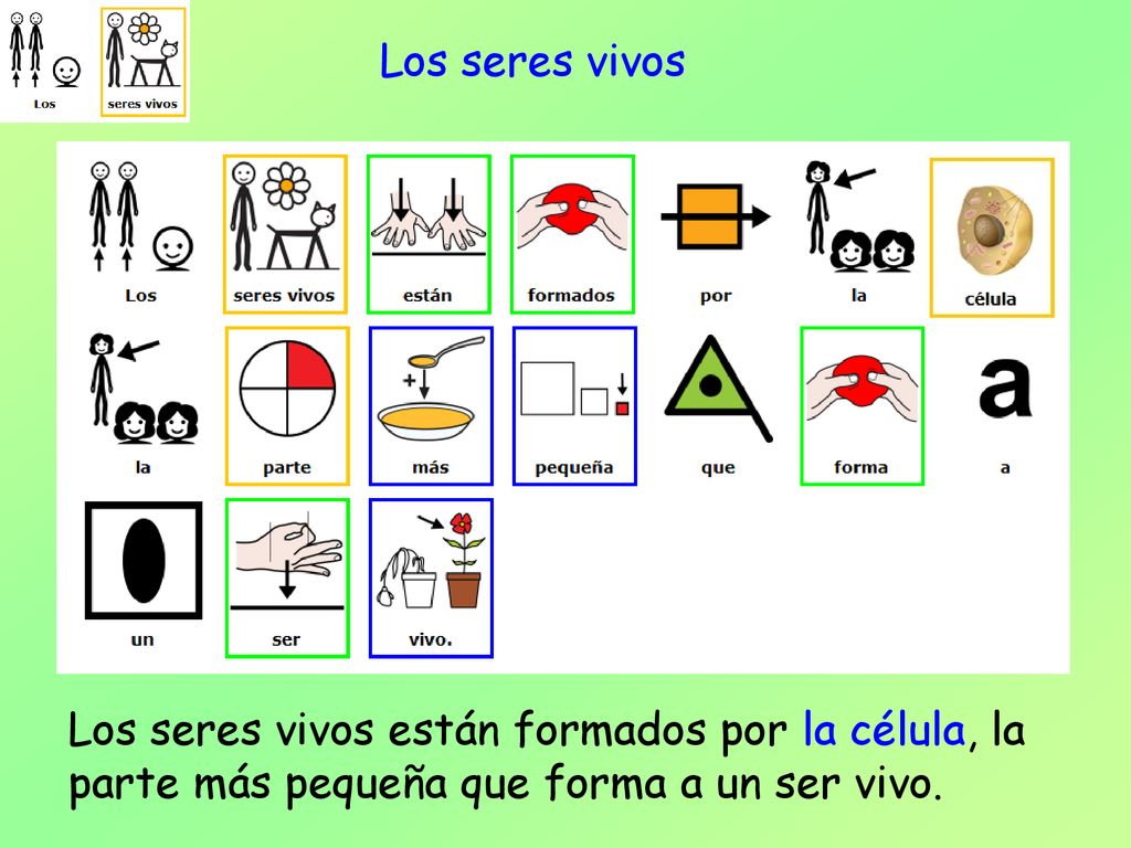 Los seres vivos Los seres vivos están formados por la célula, la parte más pequeña que forma a un ser vivo.