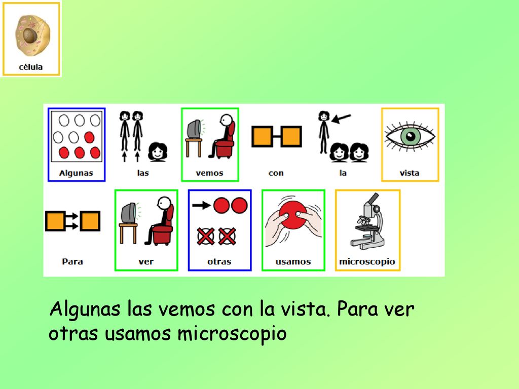 Algunas las vemos con la vista. Para ver otras usamos microscopio