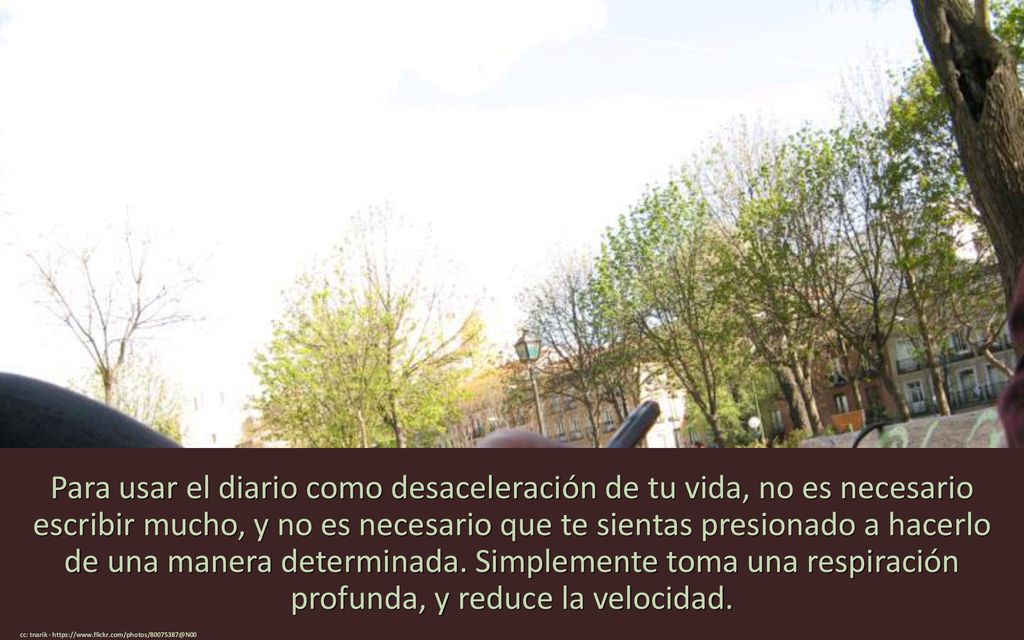 Para usar el diario como desaceleración de tu vida, no es necesario escribir mucho, y no es necesario que te sientas presionado a hacerlo de una manera determinada. Simplemente toma una respiración profunda, y reduce la velocidad.