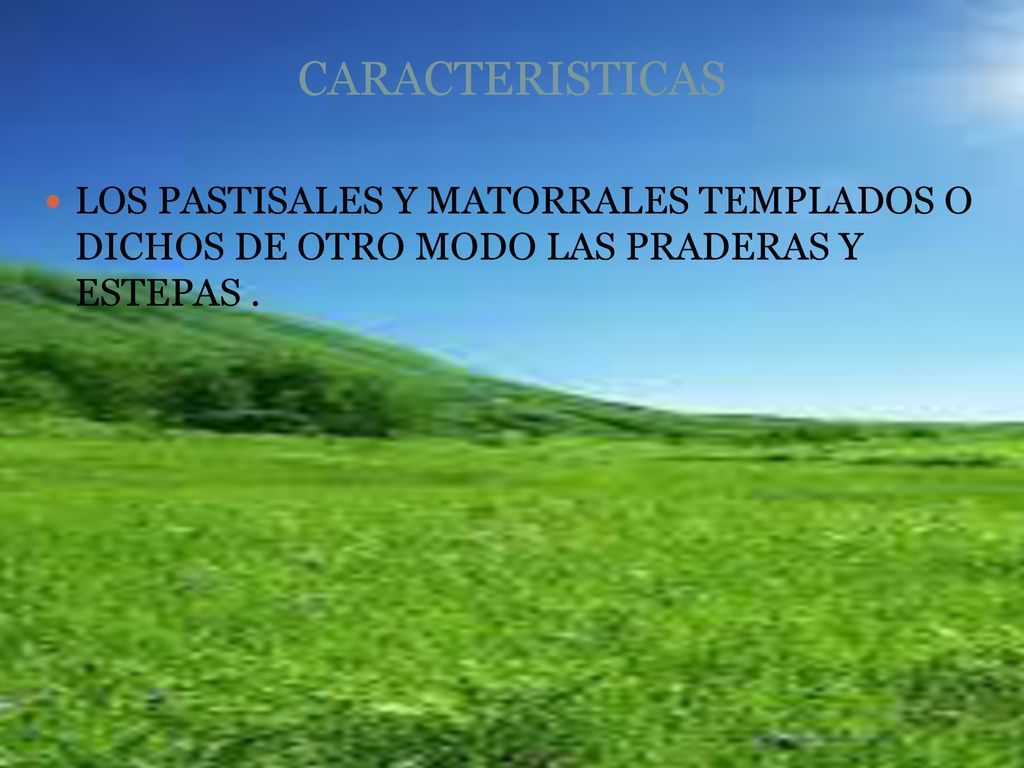 CARACTERISTICAS LOS PASTISALES Y MATORRALES TEMPLADOS O DICHOS DE OTRO MODO LAS PRADERAS Y ESTEPAS .