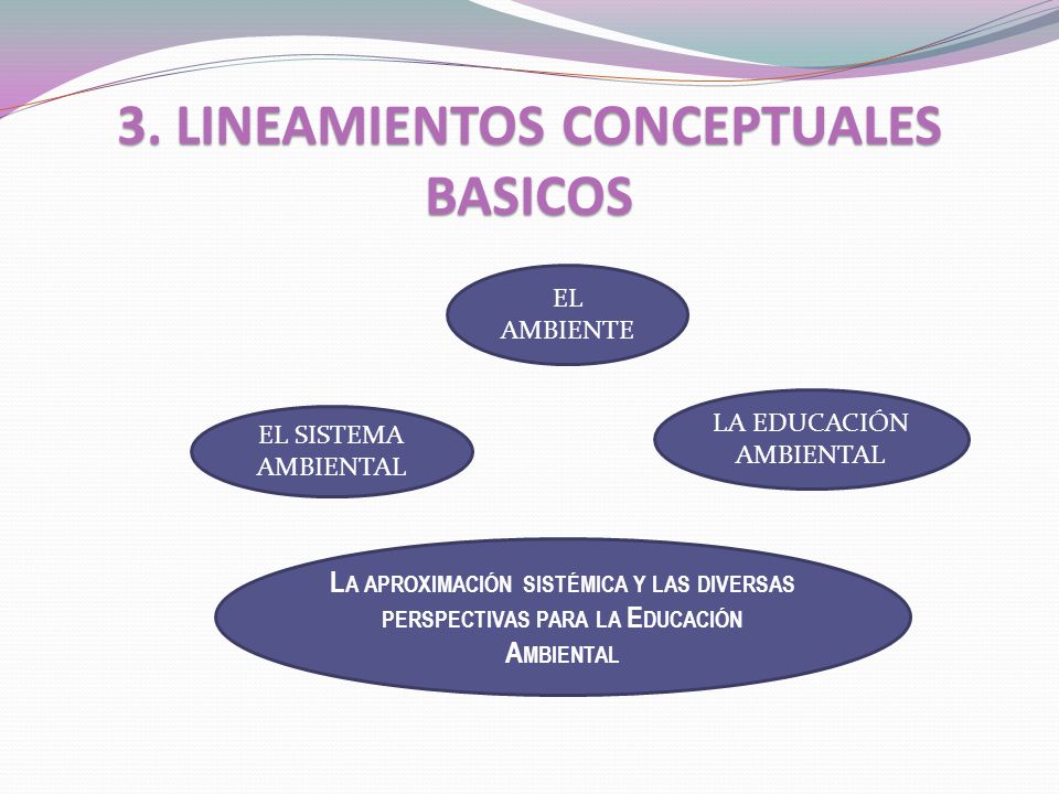 3. LINEAMIENTOS CONCEPTUALES BASICOS