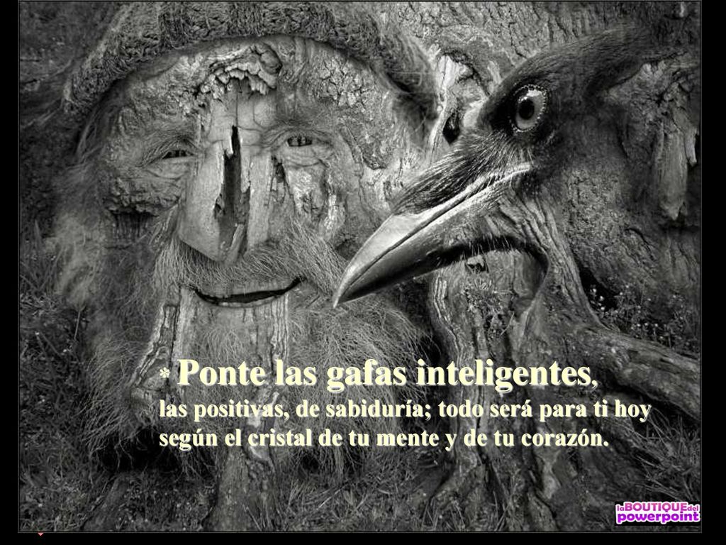 * Ponte las gafas inteligentes, las positivas, de sabiduría; todo será para ti hoy según el cristal de tu mente y de tu corazón.