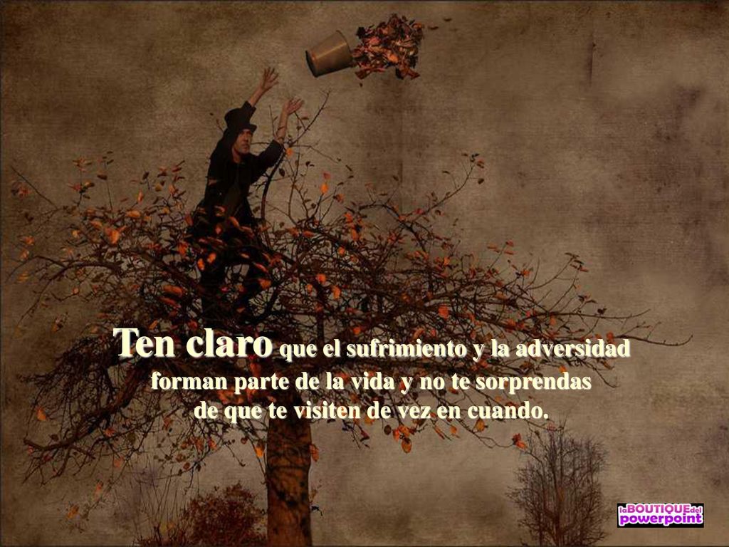 Ten claro que el sufrimiento y la adversidad forman parte de la vida y no te sorprendas de que te visiten de vez en cuando.