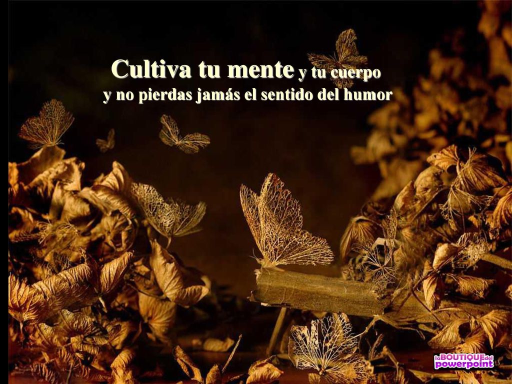 Cultiva tu mente y tu cuerpo y no pierdas jamás el sentido del humor