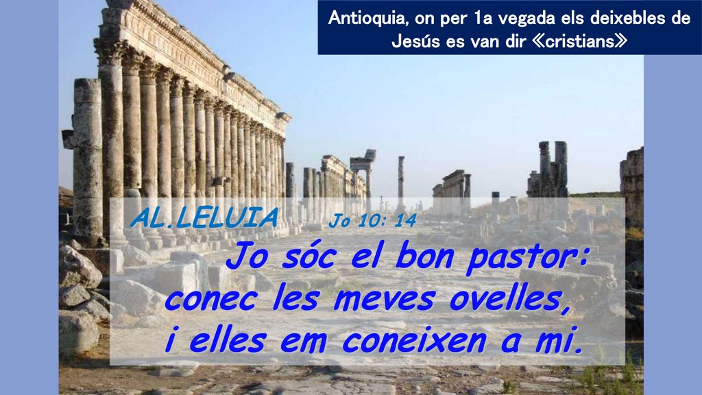 conec les meves ovelles, i elles em coneixen a mi.