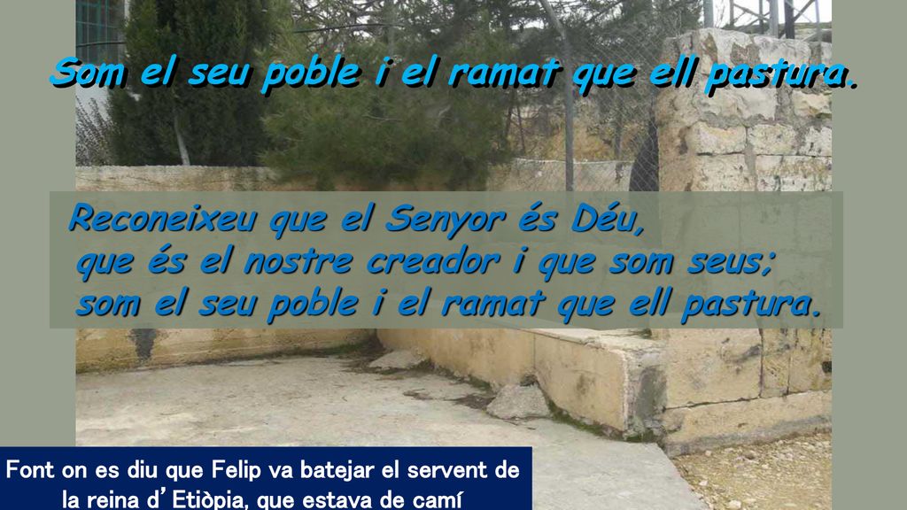 Som el seu poble i el ramat que ell pastura.