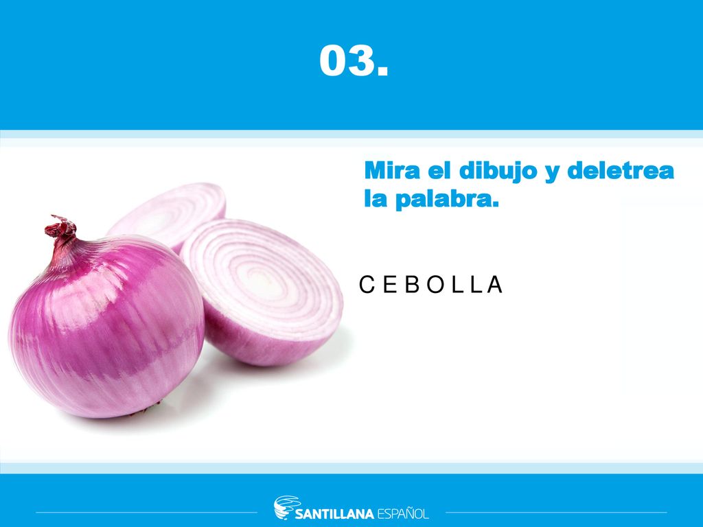 03. Mira el dibujo y deletrea la palabra. C E B O L L A