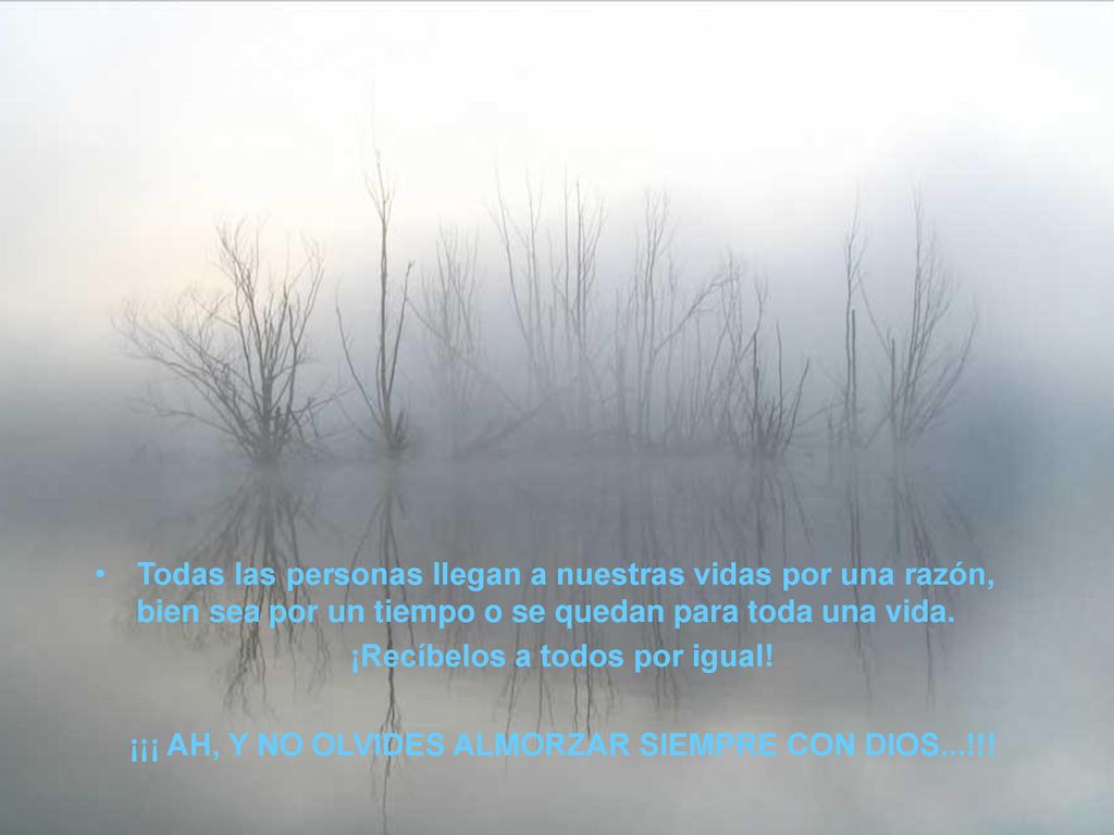 Todas las personas llegan a nuestras vidas por una razón, bien sea por un tiempo o se quedan para toda una vida.