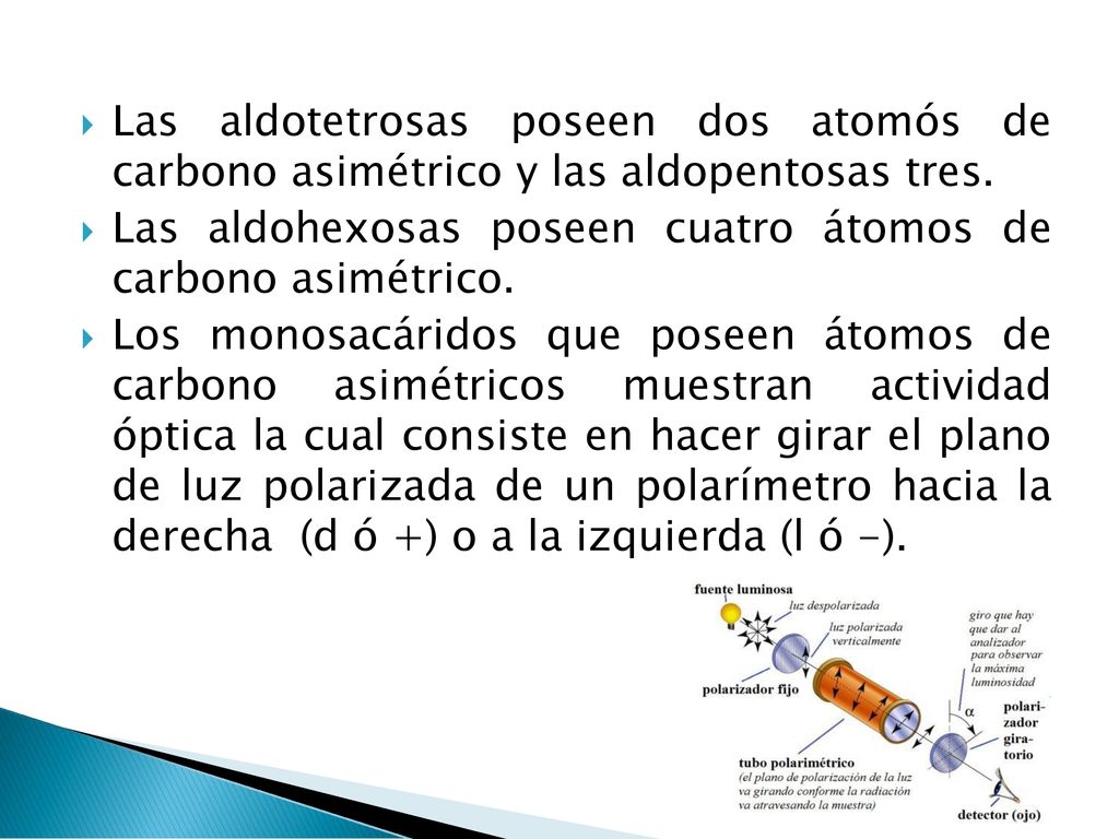 Las aldotetrosas poseen dos atomós de carbono asimétrico y las aldopentosas tres.