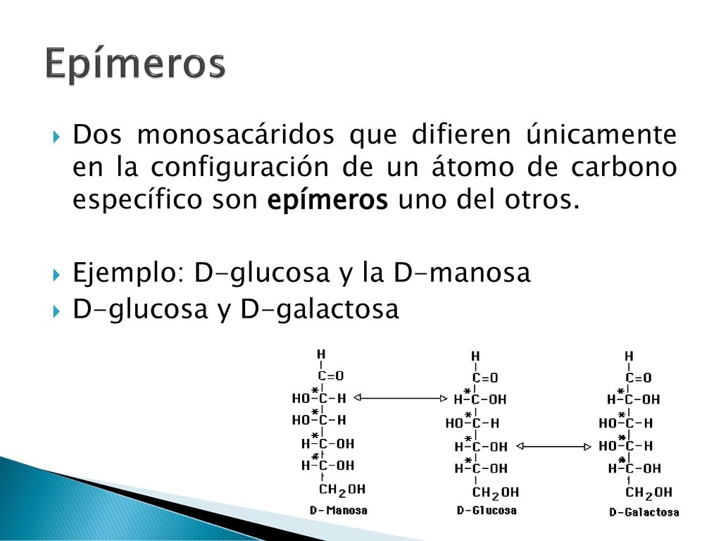 Epímeros Dos monosacáridos que difieren únicamente en la configuración de un átomo de carbono específico son epímeros uno del otros.