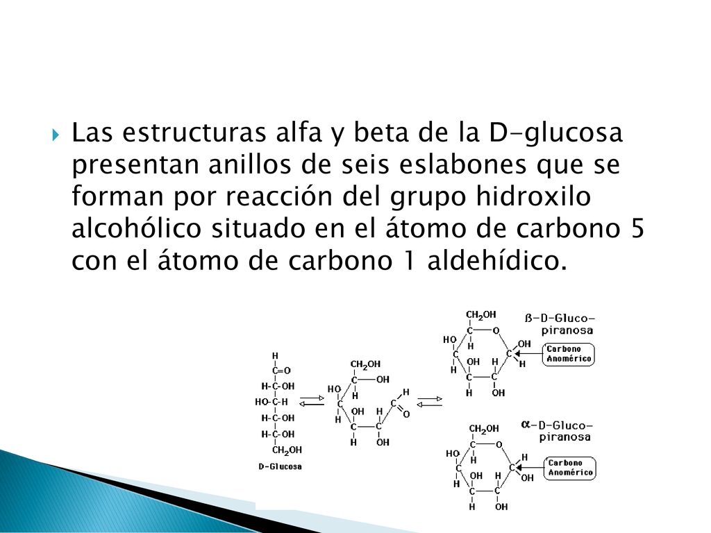 Las estructuras alfa y beta de la D-glucosa presentan anillos de seis eslabones que se forman por reacción del grupo hidroxilo alcohólico situado en el átomo de carbono 5 con el átomo de carbono 1 aldehídico.