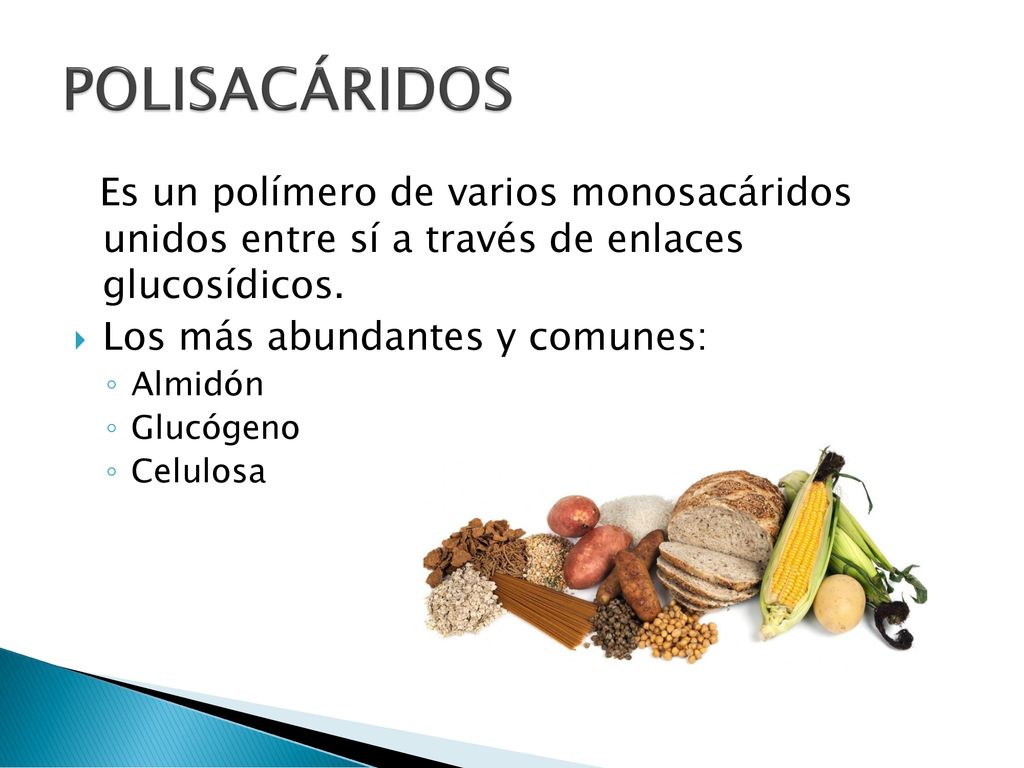 POLISACÁRIDOS Es un polímero de varios monosacáridos unidos entre sí a través de enlaces glucosídicos.