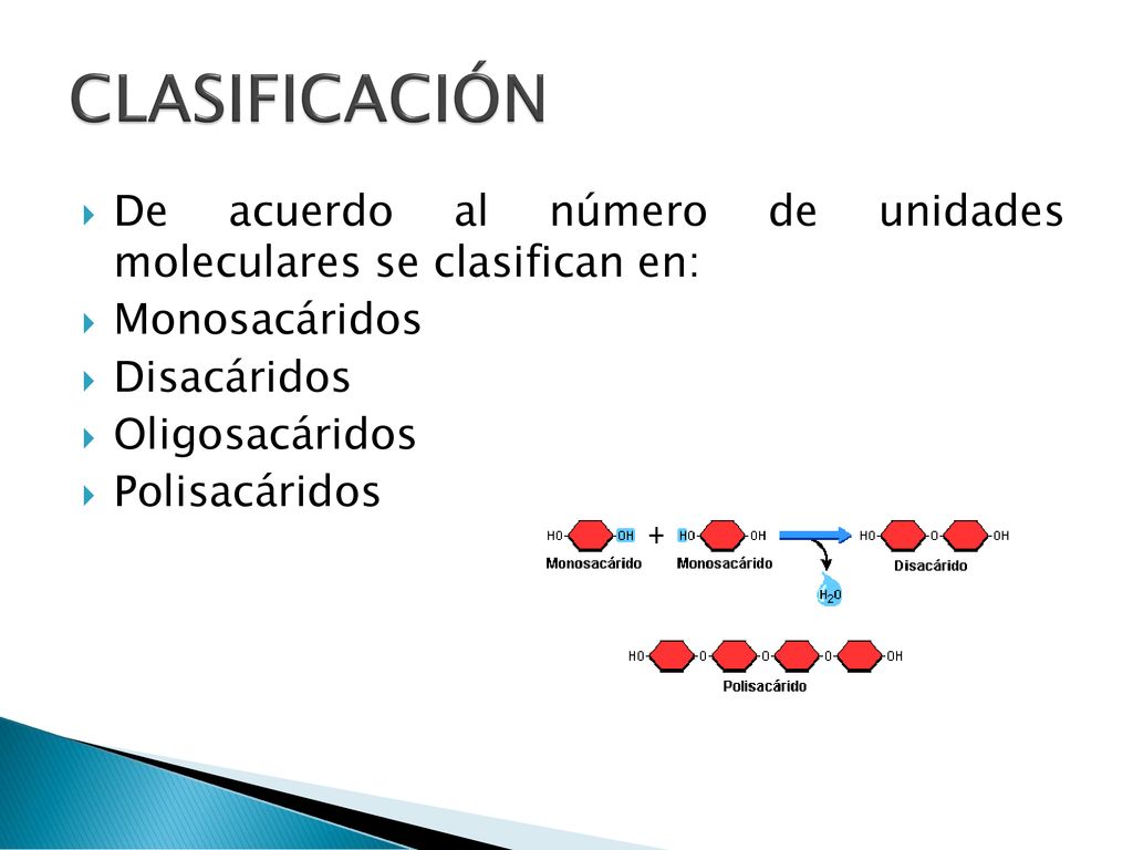 CLASIFICACIÓN De acuerdo al número de unidades moleculares se clasifican en: Monosacáridos. Disacáridos.