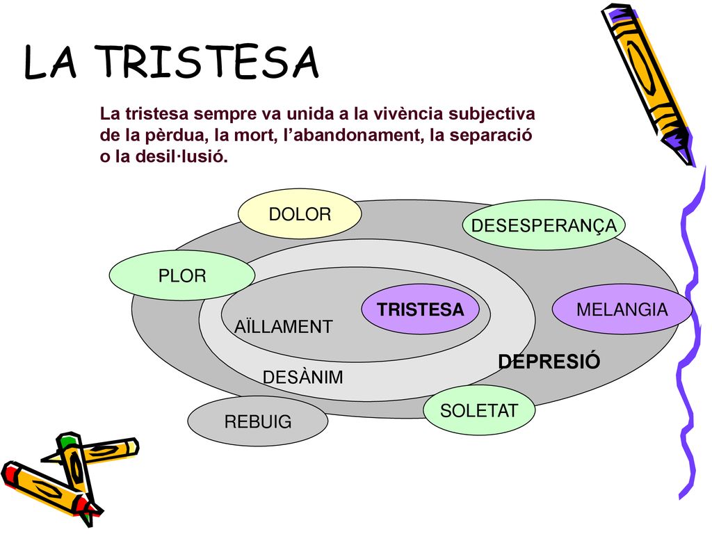 LA TRISTESA La tristesa sempre va unida a la vivència subjectiva de la pèrdua, la mort, l’abandonament, la separació o la desil·lusió.