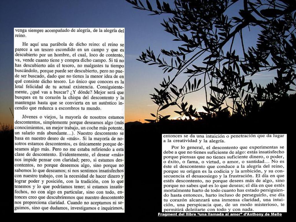 Fragment del llibre una llamada al amor d’Anthony de Mello