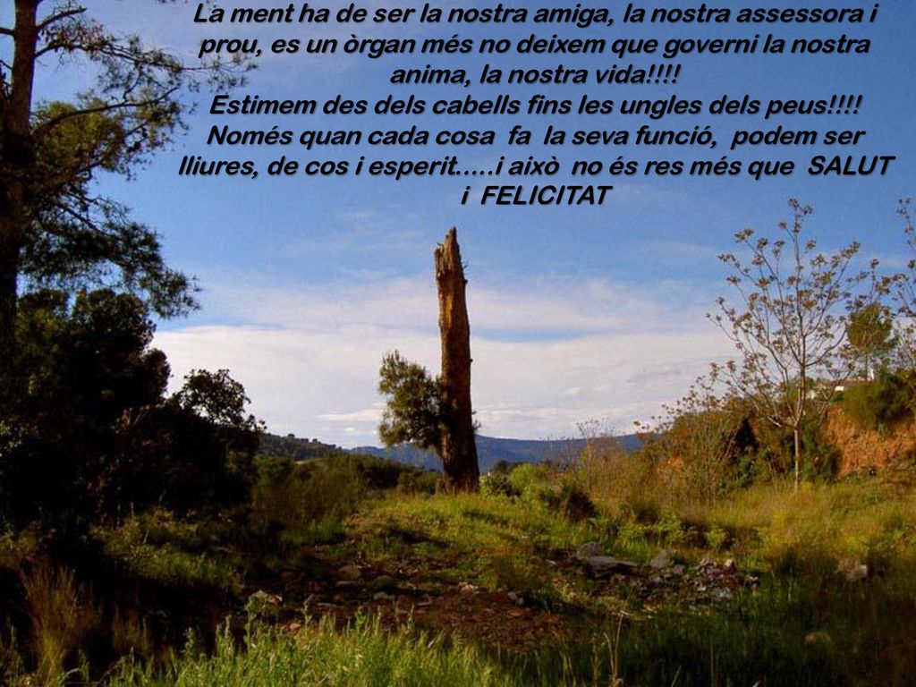 La ment ha de ser la nostra amiga, la nostra assessora i prou, es un òrgan més no deixem que governi la nostra anima, la nostra vida!!!.