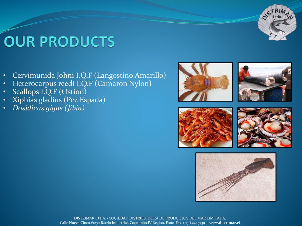 OUR PRODUCTS Cervimunida Johni I.Q.F (Langostino Amarillo)