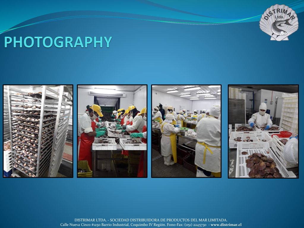 PHOTOGRAPHY DISTRIMAR LTDA. - SOCIEDAD DISTRIBUIDORA DE PRODUCTOS DEL MAR LIMITADA.
