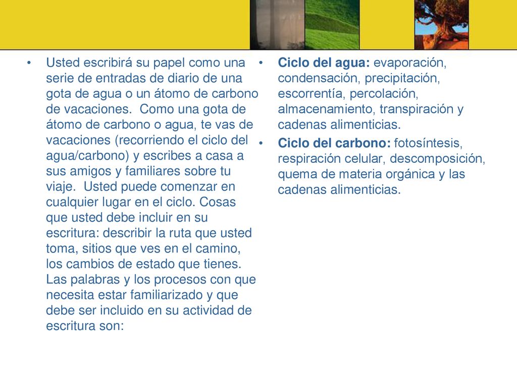 Usted escribirá su papel como una serie de entradas de diario de una gota de agua o un átomo de carbono de vacaciones. Como una gota de átomo de carbono o agua, te vas de vacaciones (recorriendo el ciclo del agua/carbono) y escribes a casa a sus amigos y familiares sobre tu viaje. Usted puede comenzar en cualquier lugar en el ciclo. Cosas que usted debe incluir en su escritura: describir la ruta que usted toma, sitios que ves en el camino, los cambios de estado que tienes. Las palabras y los procesos con que necesita estar familiarizado y que debe ser incluido en su actividad de escritura son: