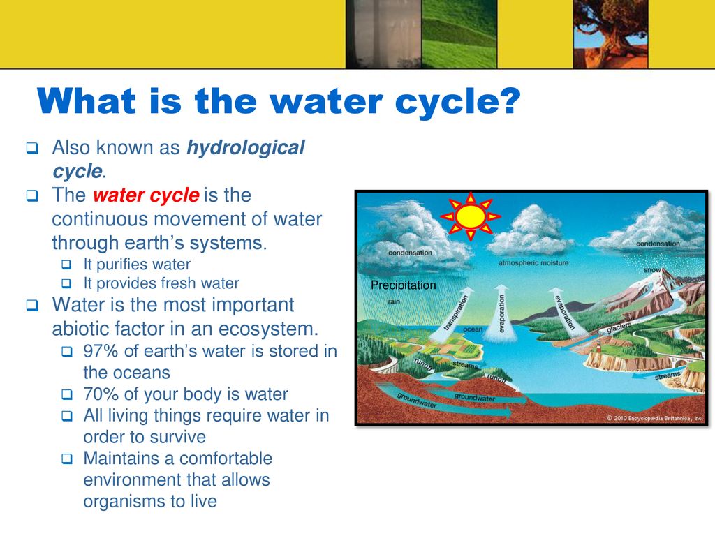 What is the water cycle Also known as hydrological cycle.