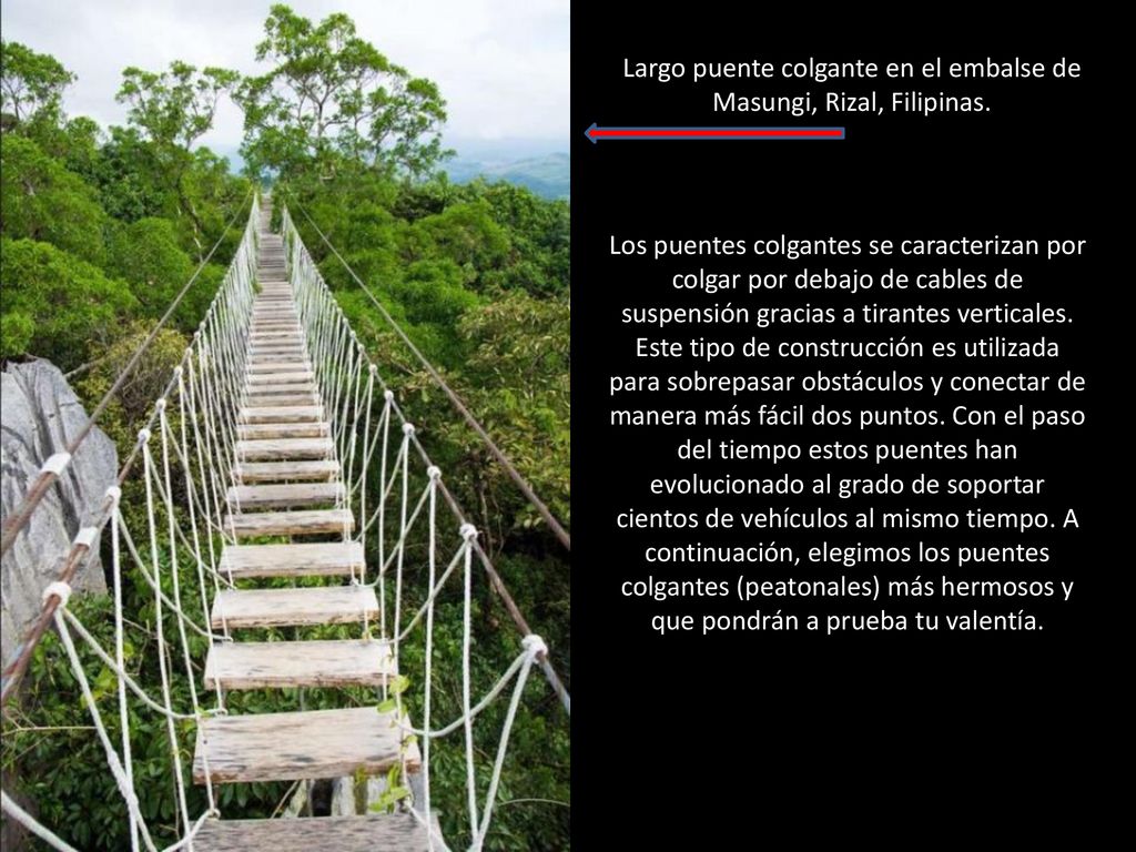 Largo puente colgante en el embalse de Masungi, Rizal, Filipinas.