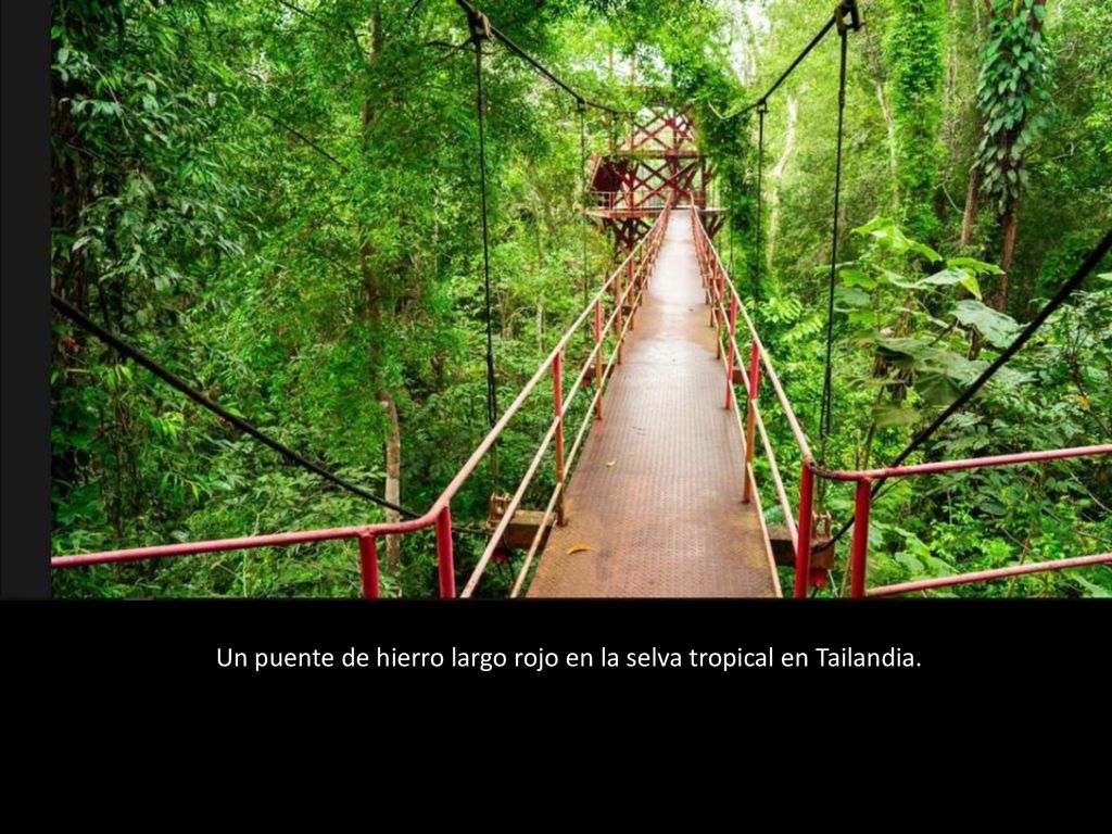 Un puente de hierro largo rojo en la selva tropical en Tailandia.