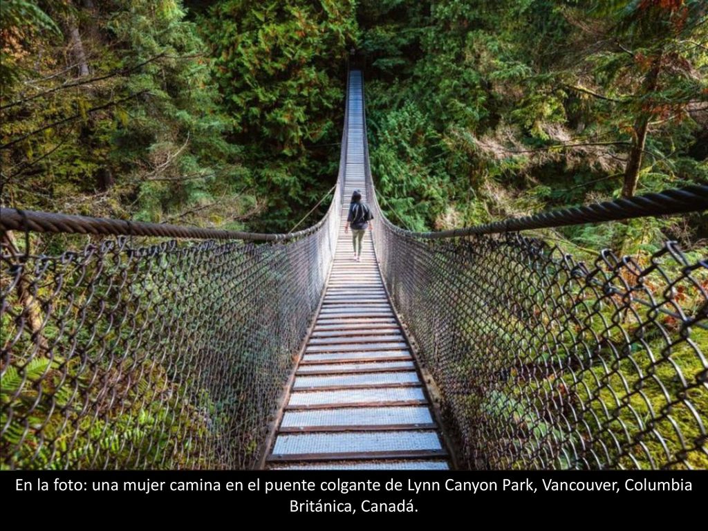 En la foto: una mujer camina en el puente colgante de Lynn Canyon Park, Vancouver, Columbia Británica, Canadá.