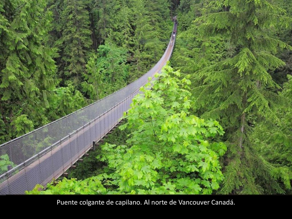 Puente colgante de capilano. Al norte de Vancouver Canadá.