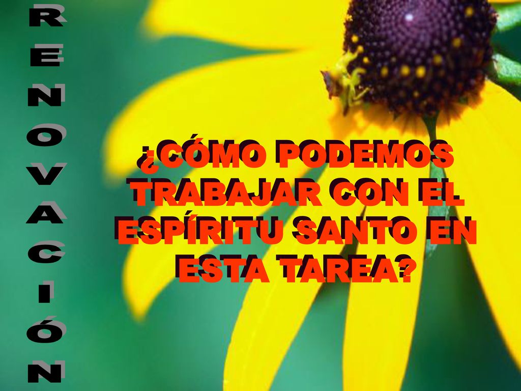 ¿CÓMO PODEMOS TRABAJAR CON EL ESPÍRITU SANTO EN ESTA TAREA