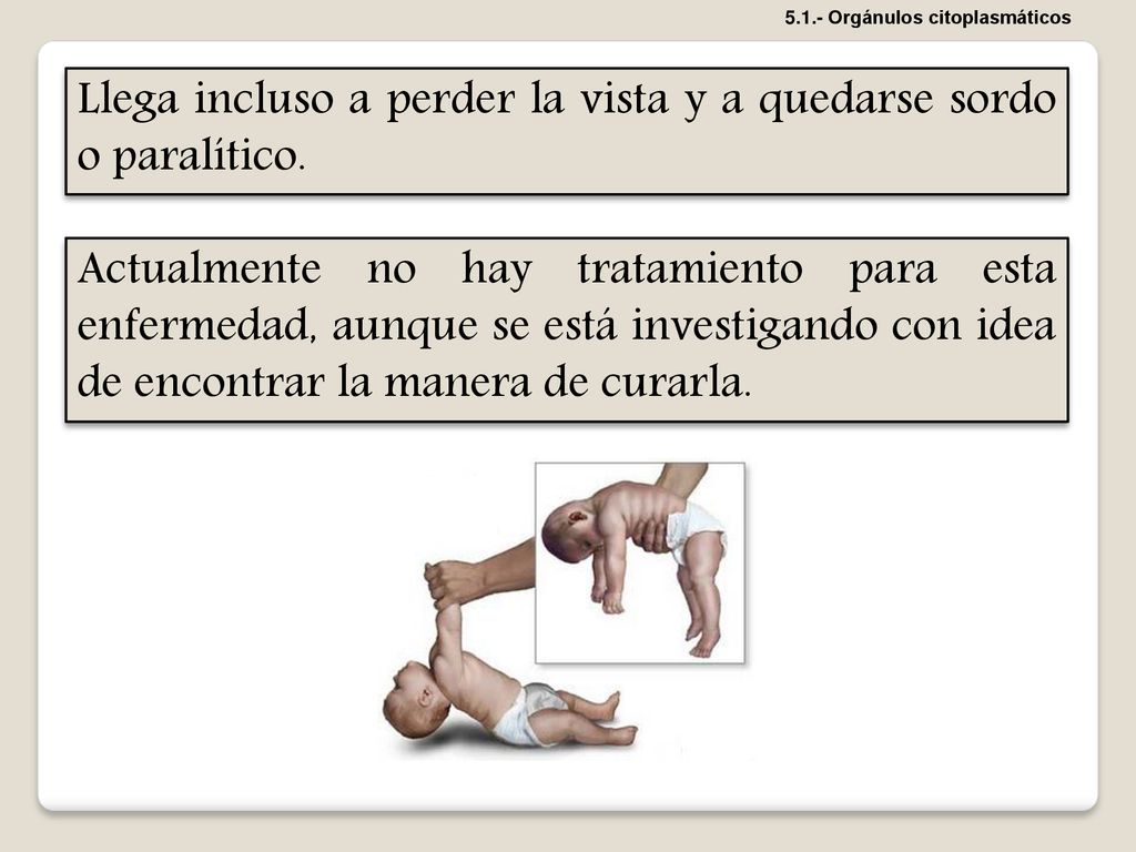 Llega incluso a perder la vista y a quedarse sordo o paralítico.