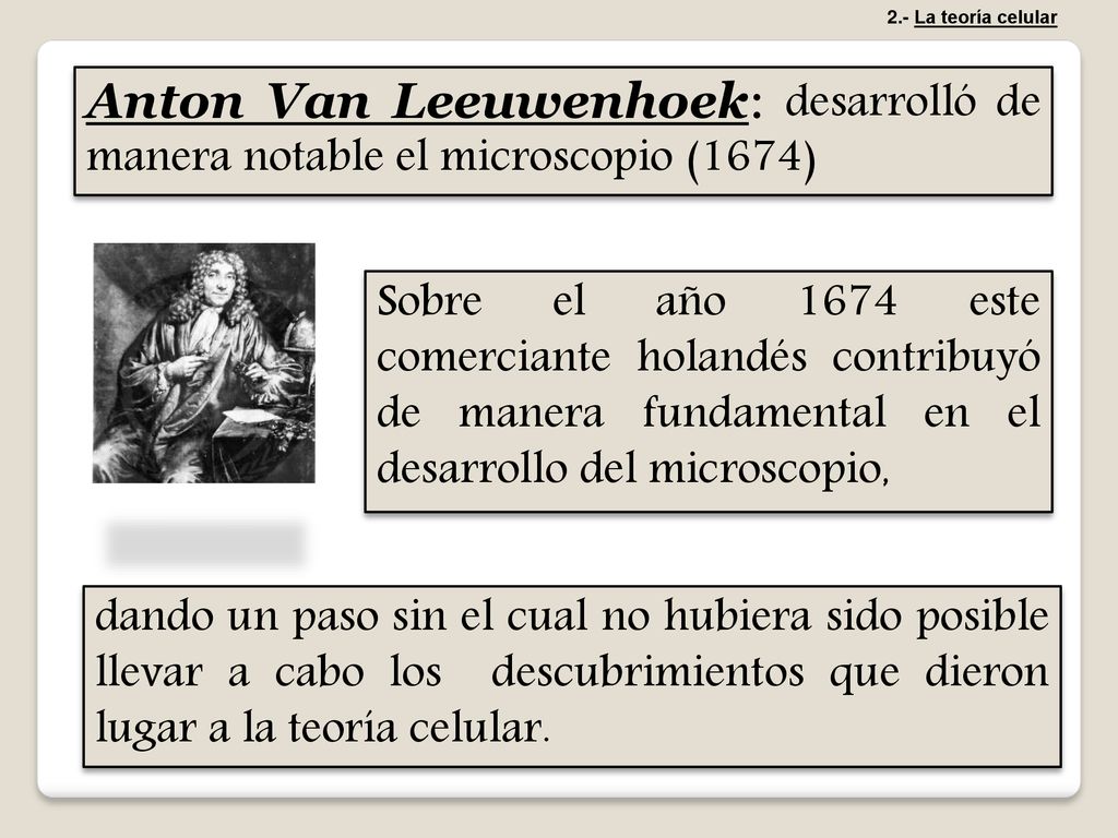 2.- La teoría celular Anton Van Leeuwenhoek: desarrolló de manera notable el microscopio (1674)