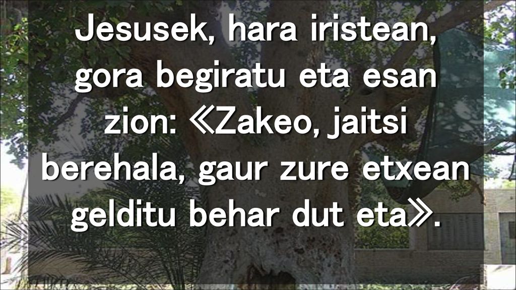 Jesusek, hara iristean, gora begiratu eta esan zion: «Zakeo, jaitsi berehala, gaur zure etxean gelditu behar dut eta».