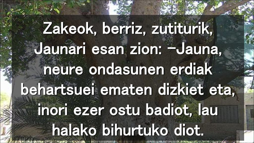 Zakeok, berriz, zutiturik, Jaunari esan zion: –Jauna, neure ondasunen erdiak behartsuei ematen dizkiet eta, inori ezer ostu badiot, lau halako bihurtuko diot.