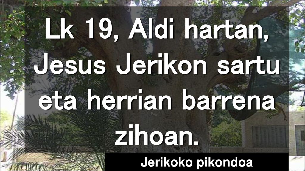 Lk 19, Aldi hartan, Jesus Jerikon sartu eta herrian barrena zihoan.