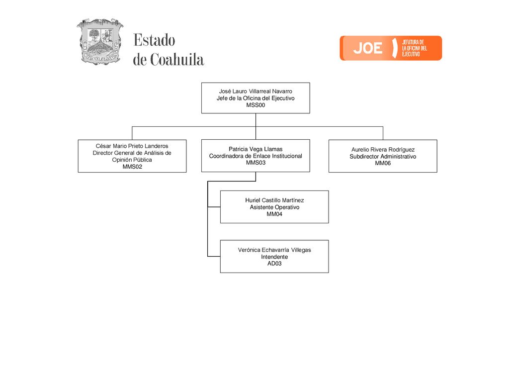 José Lauro Villarreal Navarro Jefe de la Oficina del Ejecutivo MSS00
