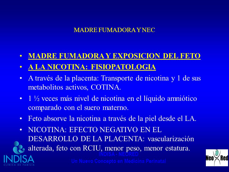 MADRE FUMADORA Y EXPOSICION DEL FETO A LA NICOTINA: FISIOPATOLOGIA