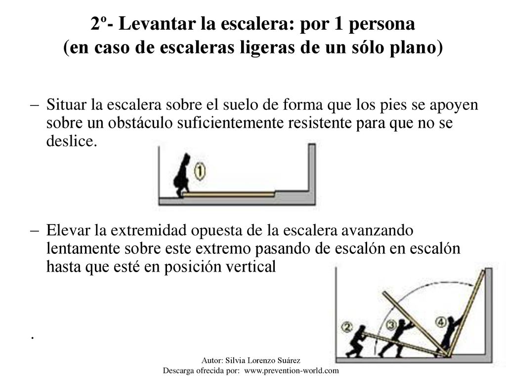 2º- Levantar la escalera: por 1 persona (en caso de escaleras ligeras de un sólo plano)