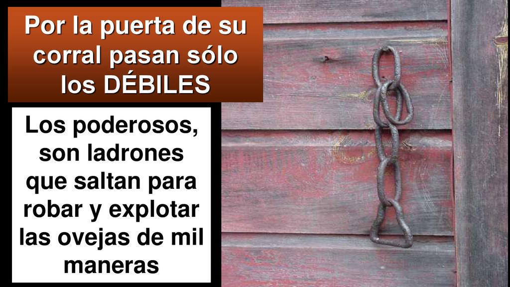 Por la puerta de su corral pasan sólo los DÉBILES