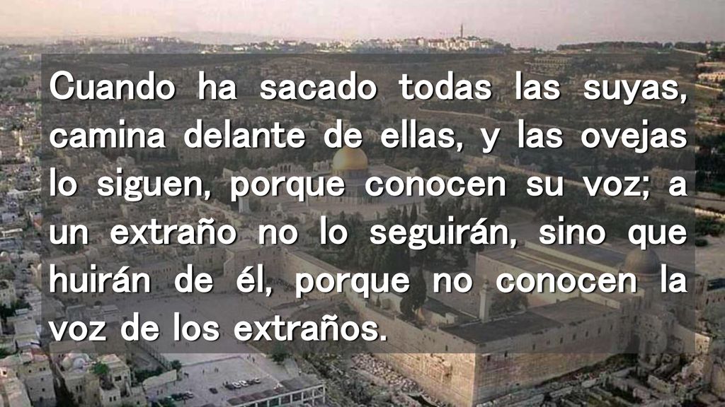 Cuando ha sacado todas las suyas, camina delante de ellas, y las ovejas lo siguen, porque conocen su voz; a un extraño no lo seguirán, sino que huirán de él, porque no conocen la voz de los extraños.