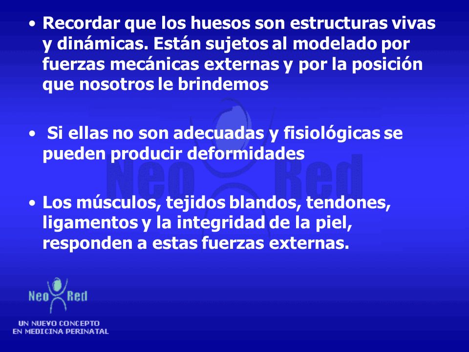 Recordar que los huesos son estructuras vivas y dinámicas