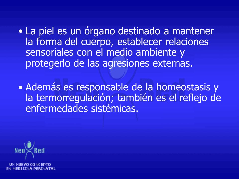 La piel es un órgano destinado a mantener la forma del cuerpo, establecer relaciones sensoriales con el medio ambiente y protegerlo de las agresiones externas.