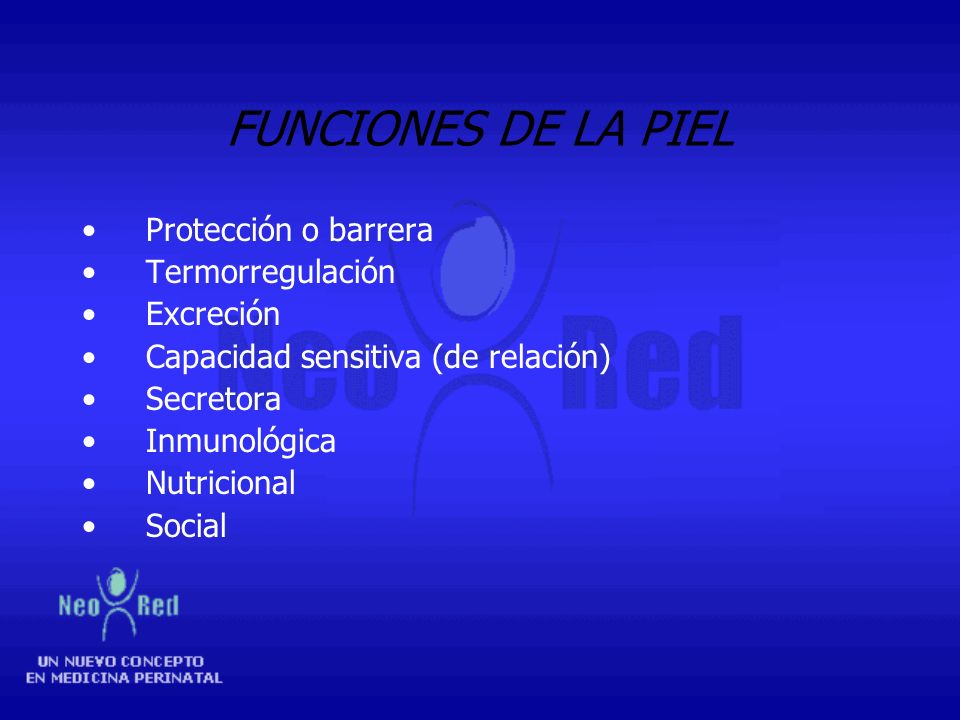 FUNCIONES DE LA PIEL Protección o barrera Termorregulación Excreción