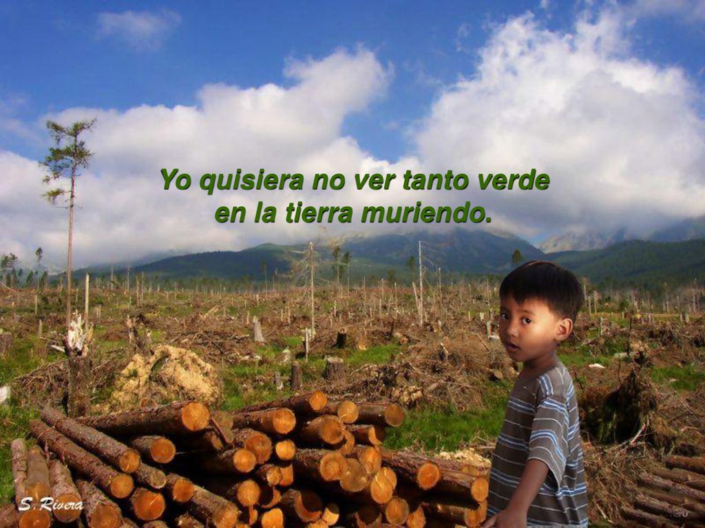 Yo quisiera no ver tanto verde en la tierra muriendo.