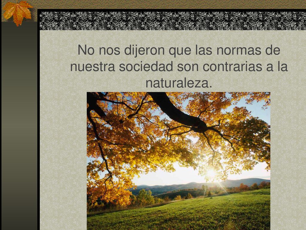 No nos dijeron que las normas de nuestra sociedad son contrarias a la naturaleza.