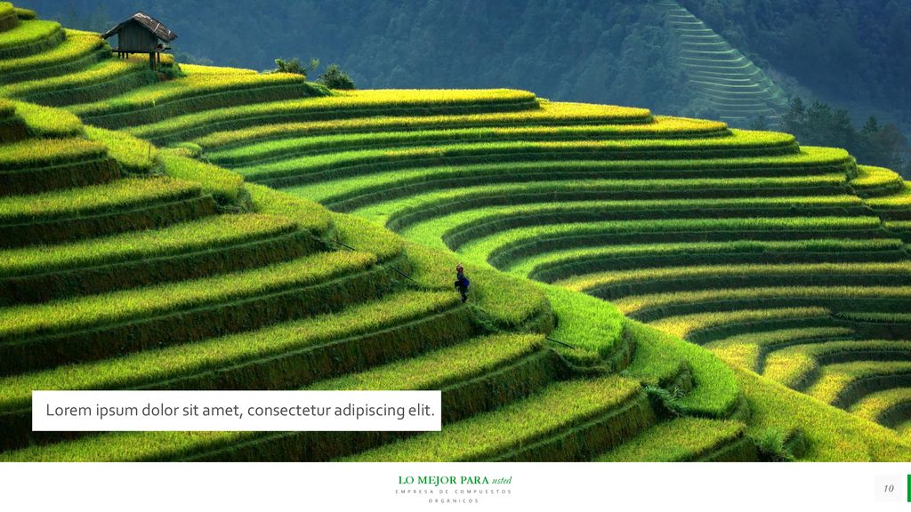 Imagen de gran tamaño Lorem ipsum dolor sit amet, consectetur adipiscing elit.