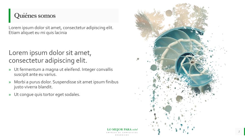 Lorem ipsum dolor sit amet, consectetur adipiscing elit.